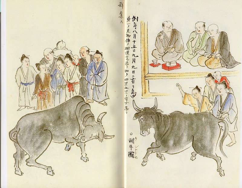 名越左源太の世界～南島雑話下書き - 徳之島の歴史文化自然遊歩記