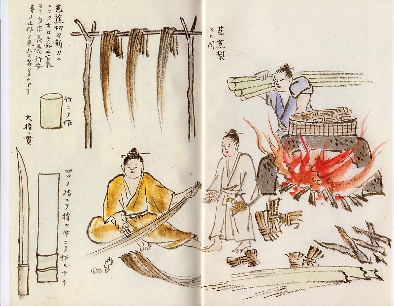 Amazon.co.jp: 南島雑話 1 : 名越左源太: 本